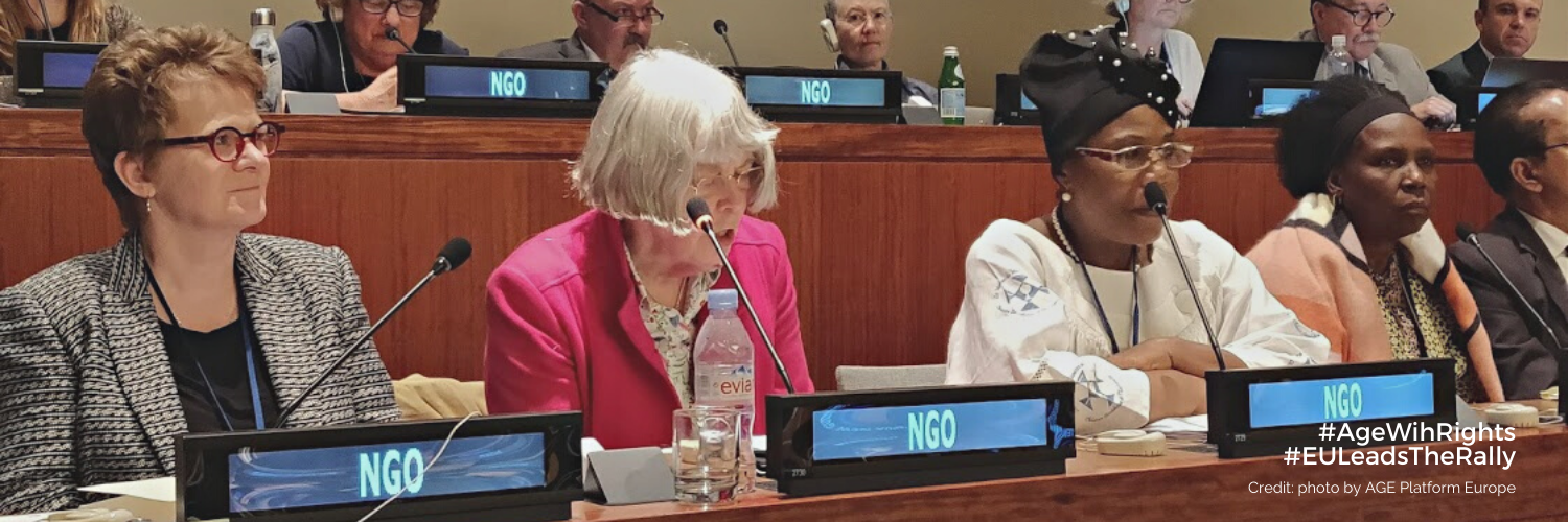 AGE Members at UN OEWG 2019