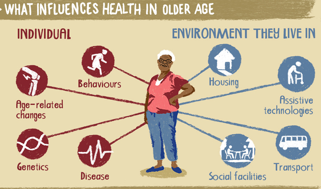healthy-ageing-630-WHO_infographic