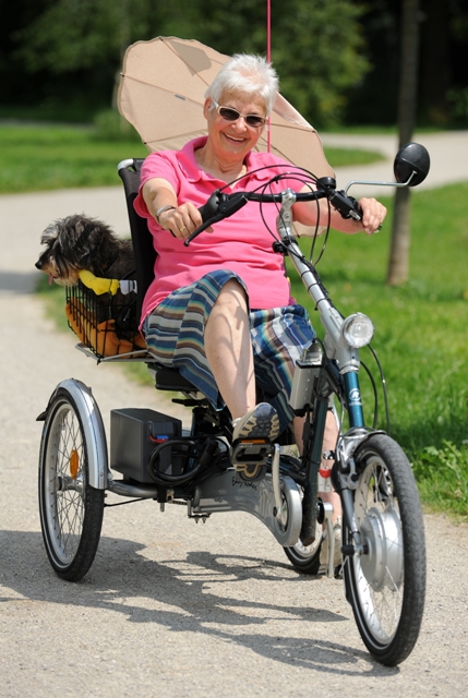 tricycle for older adults